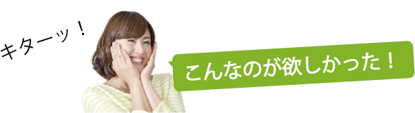 こんなのが欲しかった！